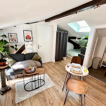Loft Hortensia Hyper Centre Castres Кастр Екстер'єр фото