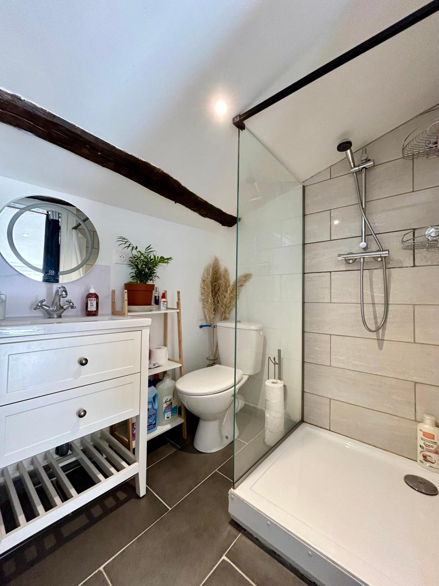 Loft Hortensia Hyper Centre Castres Кастр Екстер'єр фото