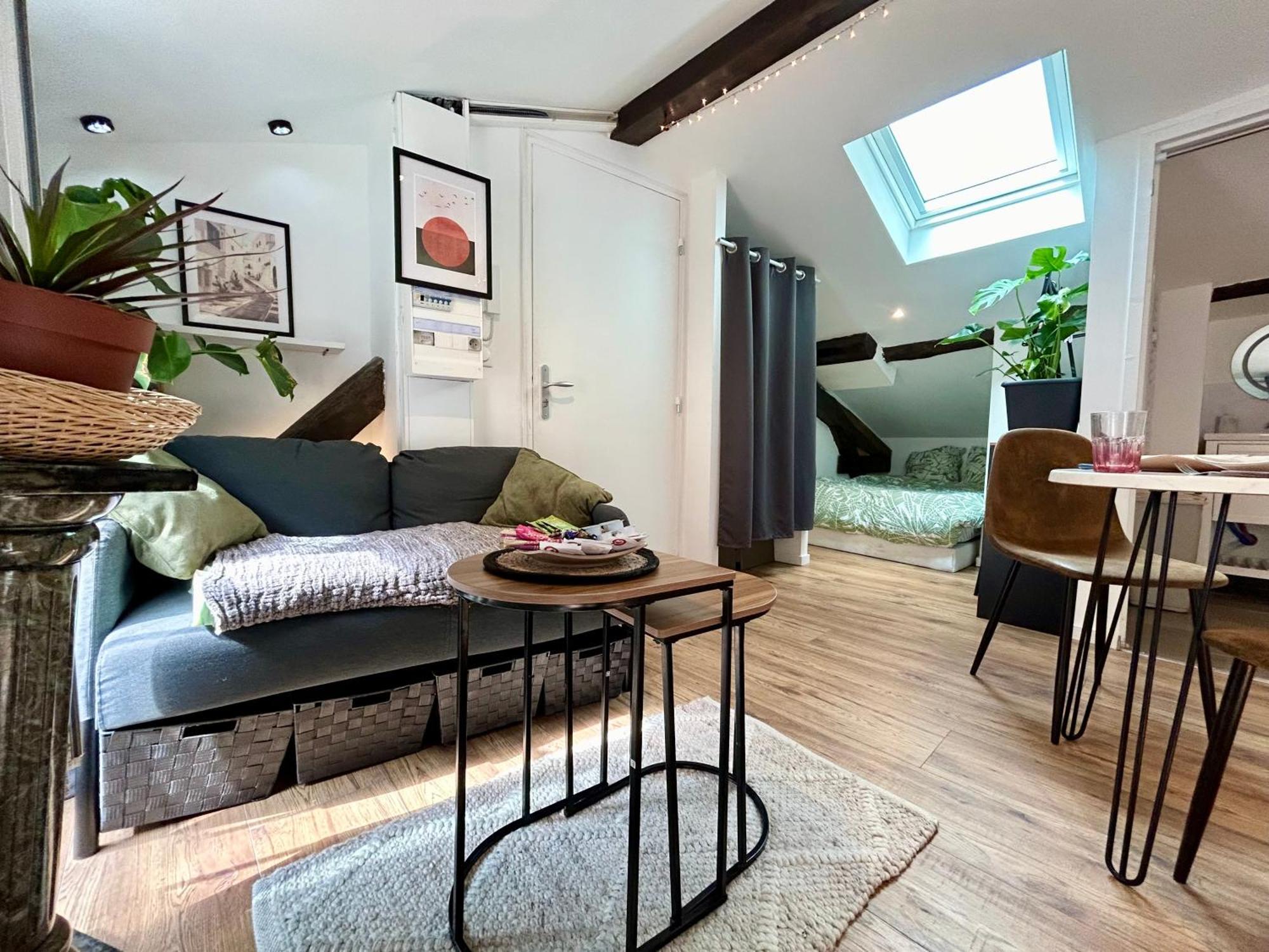 Loft Hortensia Climatise Hyper Centre Castres Кастр Екстер'єр фото