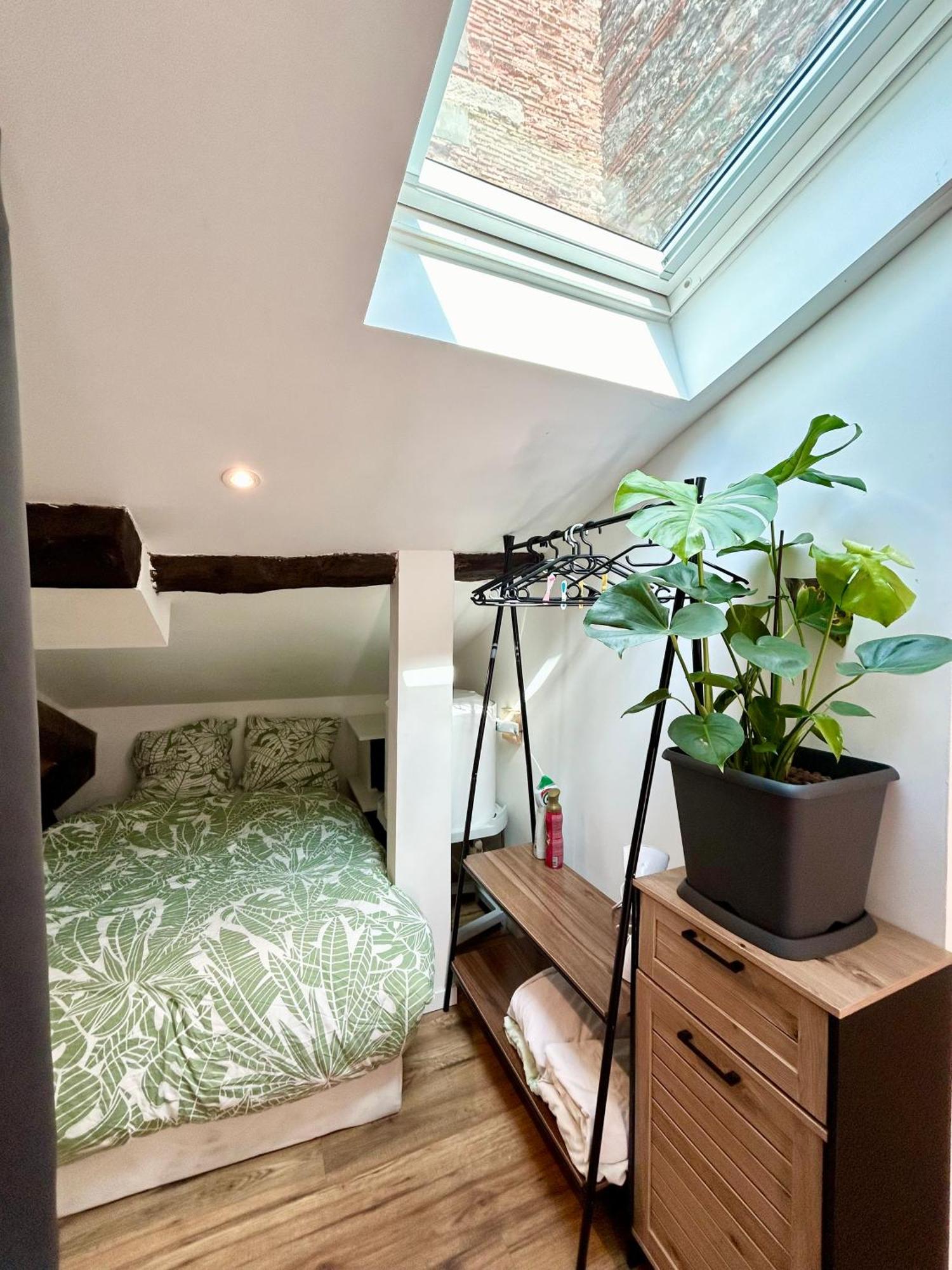 Loft Hortensia Hyper Centre Castres Кастр Екстер'єр фото